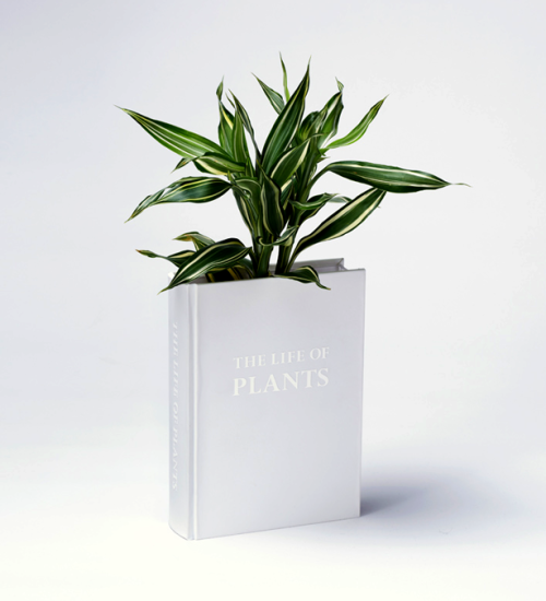 yoy_book_planter-closed-cover