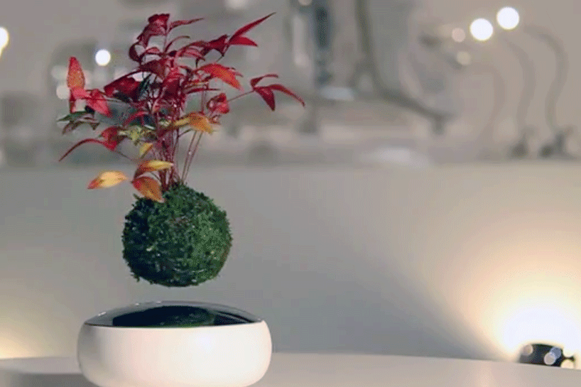 floating-air-bonsai-garden-by-hoshinchu-defies-gravity-designboom-04