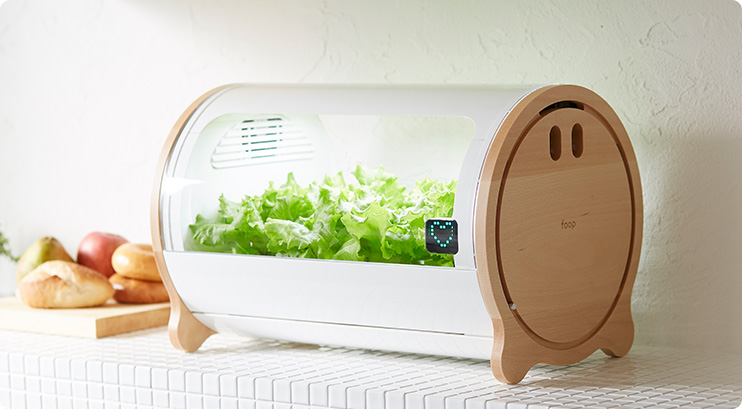 Countertop Hydroponic Garden — Shoebox Dwelling | Finding comfort